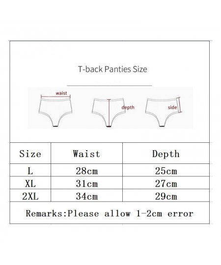 Women Sexy Hollow Transparent Lace Thin High Waist Underwear Great Elasticity Breathable Shapewear Abdomen Hips Panties Breif...