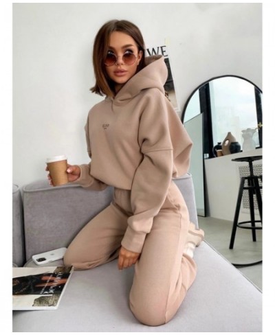 Warm Tracksuit Sports Women Two Piece Set 2022 Leisure Solid Long Sleeve Hooded Top Elastic Waist Pant Woman Winter Suit $43....