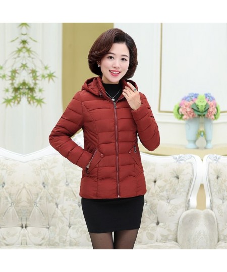 Women Autumn Winter Clothes Thicken Warm Short Parka Female Casual Solid Color Pocket Slim Hooded Coat Jackets Outerwear Q05 ...