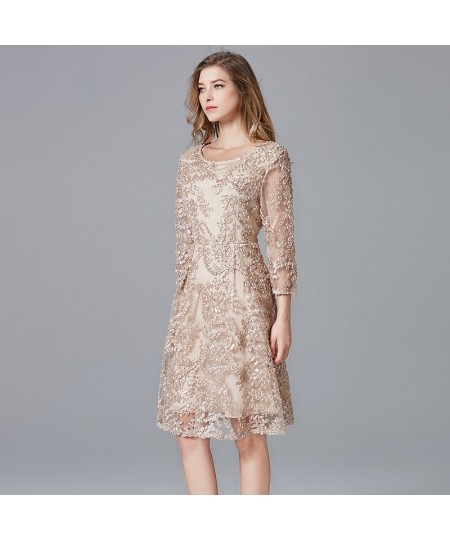 2023 Spring Summer Dress Plus Size Champagne Ladies Casual Lace A-Line Polyester Dresses For Women 14146 $76.61 - Dresses