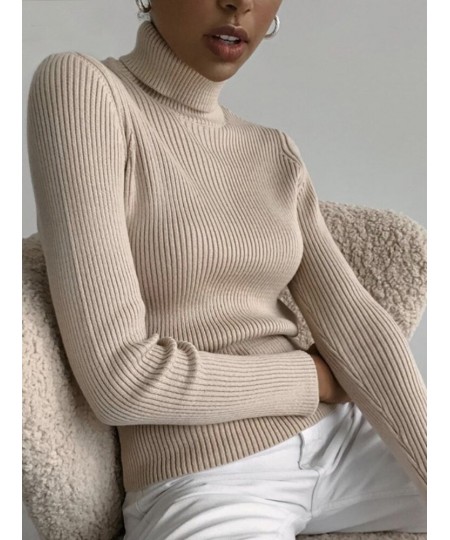 Winter Women Turtleneck Sweater Basic Knitted Soft Pullovers Cashmere Jumpers For Women Fashion Elastic Warm Sweaters $23.10 ...